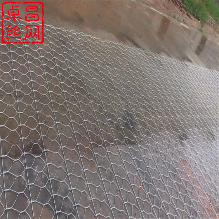 1613869178751020907.jpg 1340_副本.jpg