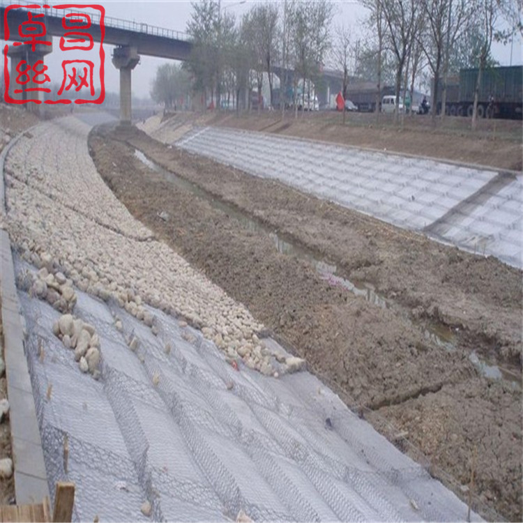 1614042801374085969.jpg 427.jpg