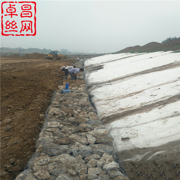 1616204860024049612.jpg 1769 (108).jpg