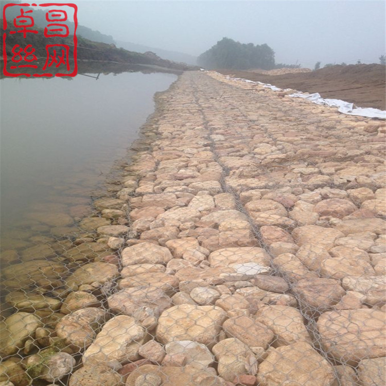 1617671178962083411.jpg 1467.jpg