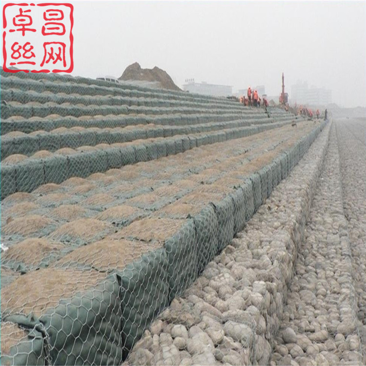 1626919439452016958.jpg 225.jpg