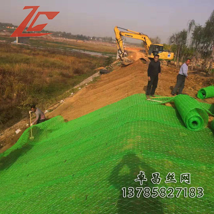 1634261467031050208.jpg 1541-42.jpg