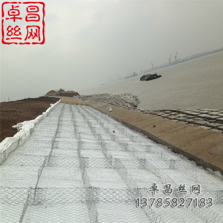 1635386444600021120.jpg 1250.jpg