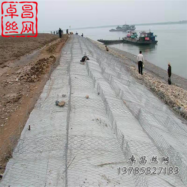 1645753404977009498.jpg 1784(503)_副本.jpg