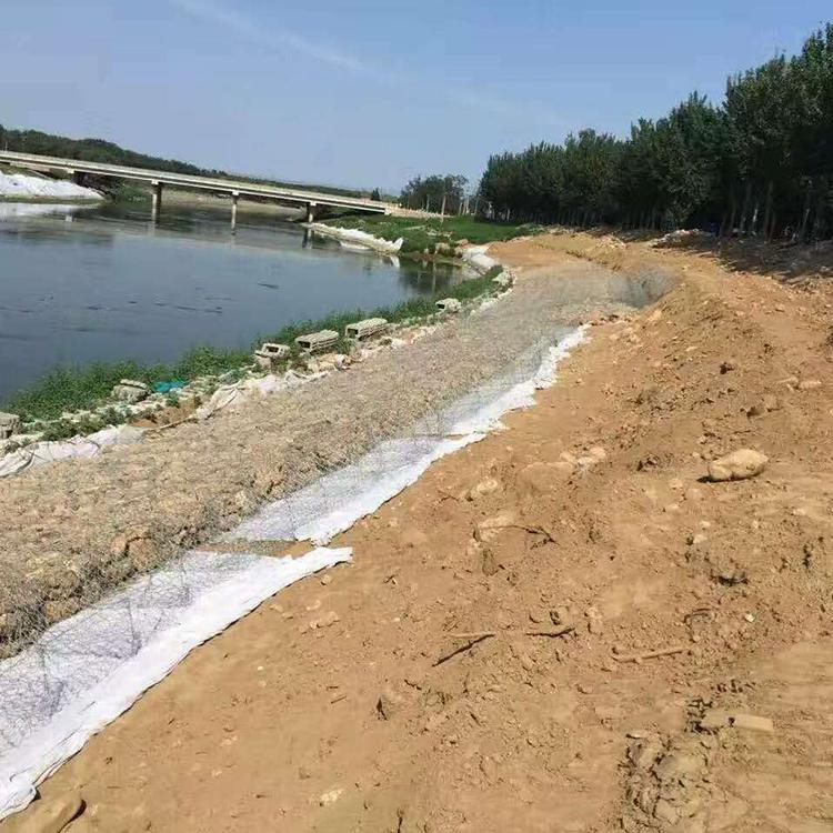 1656814442172069709.jpg 216.jpg