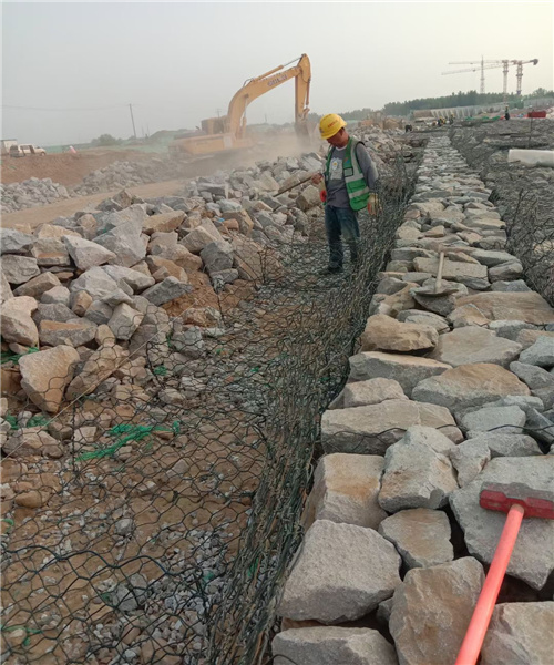 1657245179456021186.jpg 1784(80).jpg