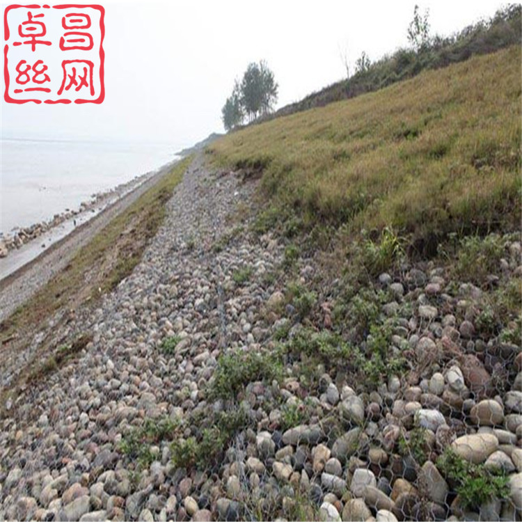 1658194732070023387.jpg 608.jpg